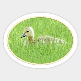 One Gosling No.q Sticker